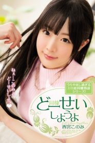 >Konomi Nishinomiya ใช้ชีวิตร่วมกัน MIDE-411 ซับไทย jav