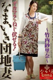 >Risa Murakami แม่บ้านจอมจุ้นกับพ่อหนุ่มนักเย็ด NSPS-208 ซับไทย jav
